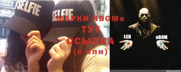 дмт Алексин