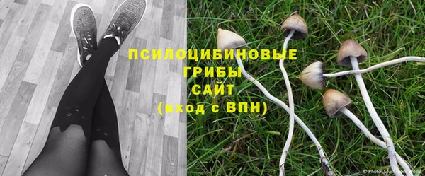 наркотики Алексеевка