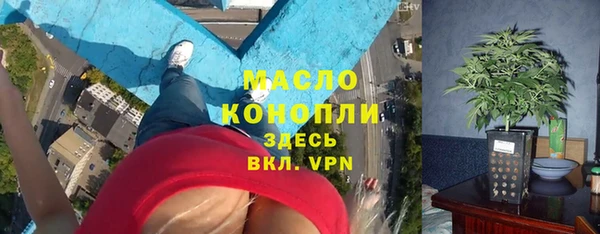 дмт Алексин