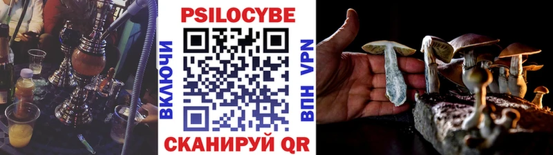 нарко площадка как зайти Сосновоборск Псилоцибиновые грибы Psilocybine cubensis