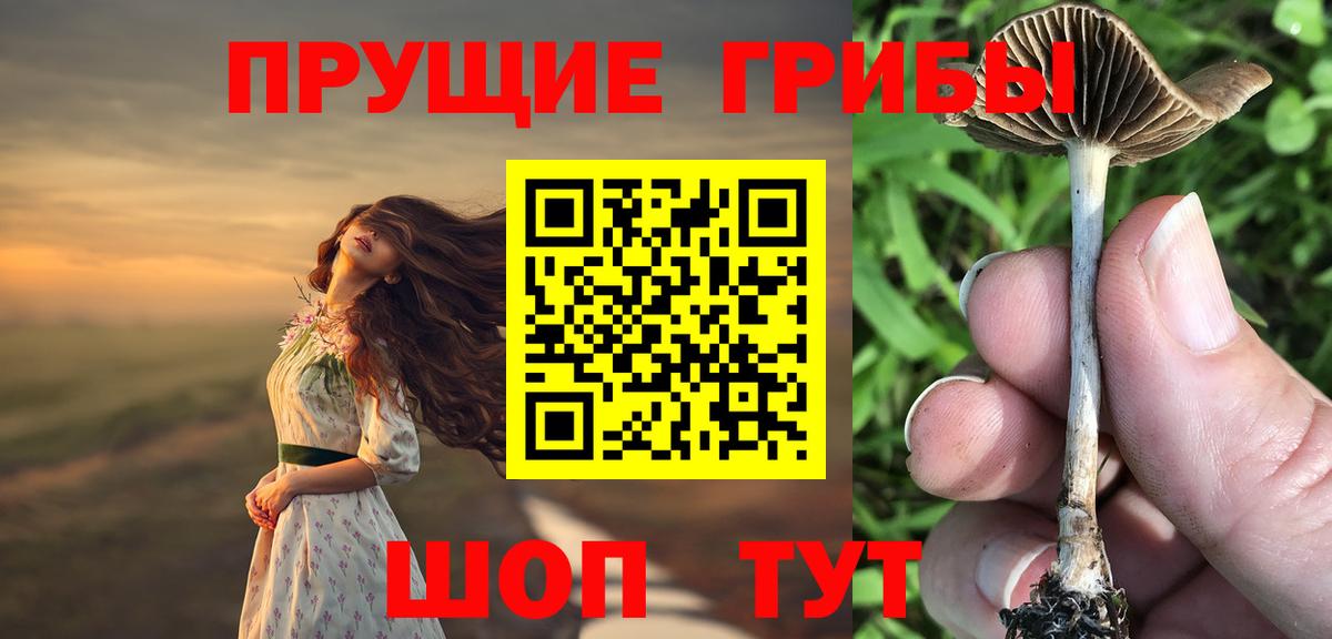 Галлюциногенные грибы Magic Shrooms Сосновоборск